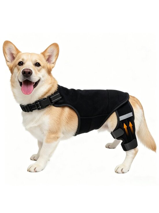 Coodeo Other - ALYBIT "M" Dog Knee Brace Torn ACL Hind Leg, Adj Leg Brace for Back Leg 4 Stabil
